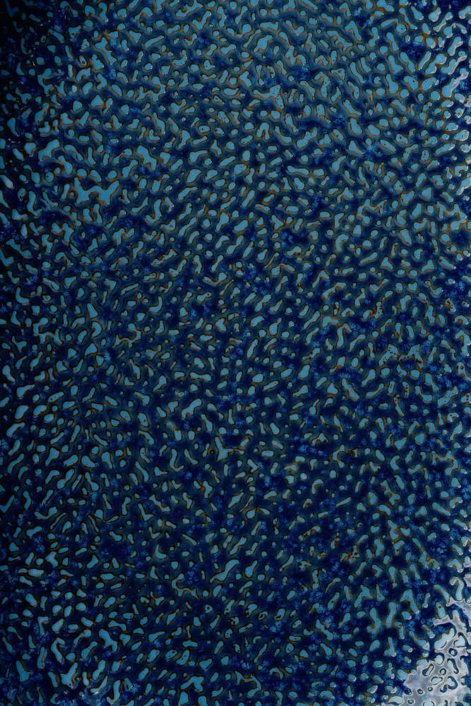 Блюдо Синий Сервировочные блюда Блюда Столовая посуда Столовая посуда и предметы сервировки HoReCa Блюда и салатницы Столовая посуда Столовая Для дома