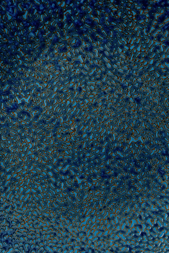 Обеденная тарелка Синий Обеденные тарелки Тарелки Столовая посуда Столовая посуда и предметы сервировки HoReCa