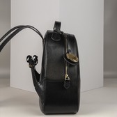 Рюкзак Черный Рюкзаки Женщинам